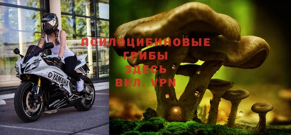 СК Беломорск