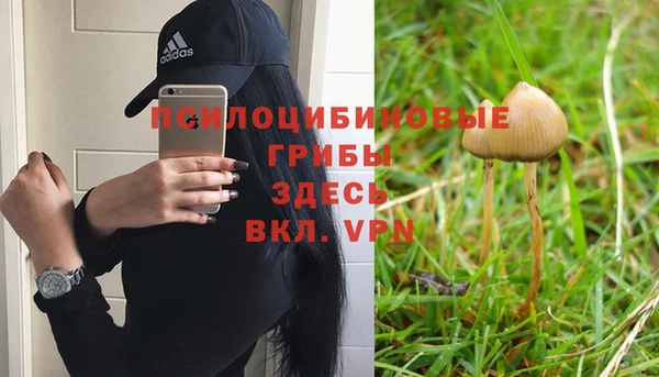ALPHA PVP Белокуриха