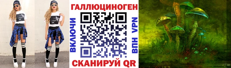 Псилоцибиновые грибы Psilocybine cubensis Михайлов